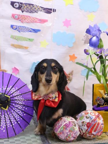 20240524おうたくん